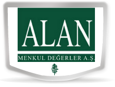 ALAN MENKUL DEĞERLER